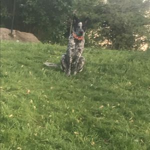 Meet your Posher, Jason